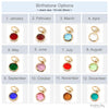 Birthstone Pave Carabiner Lock Necklace - Bauble Sky