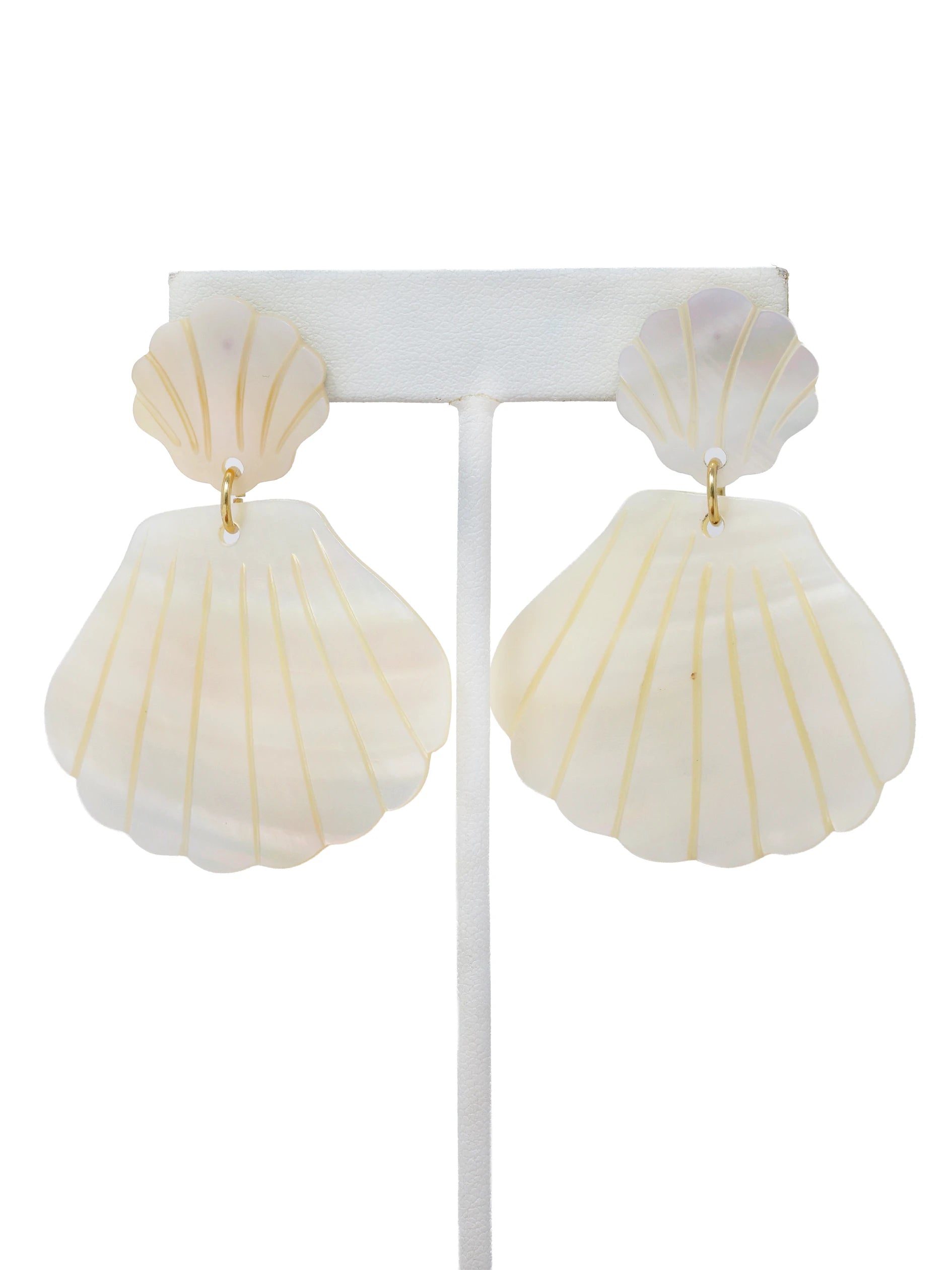Shell-shaped earrings on a white stand with a white background