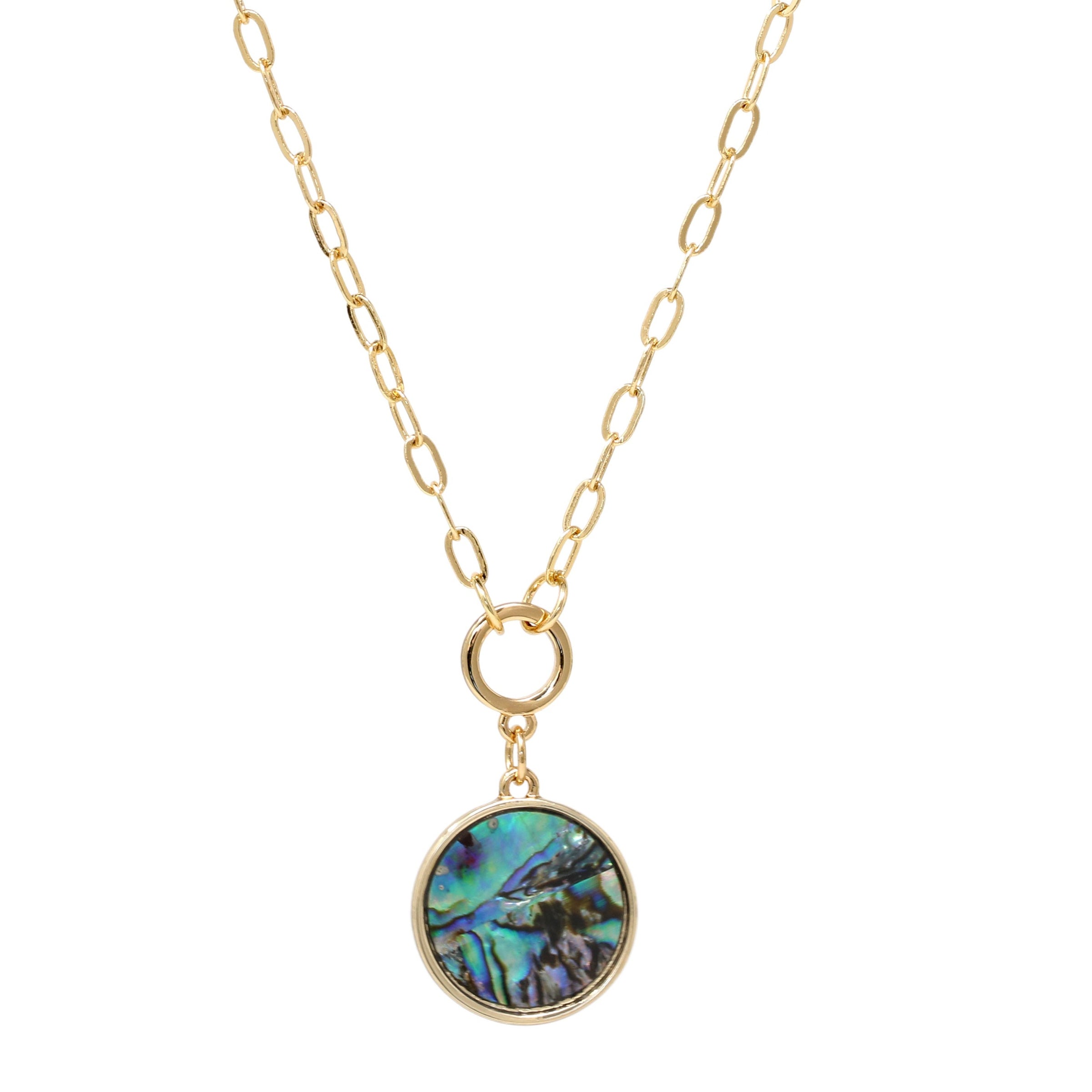 A short gold necklace featuring a natural abalone charm delicately dangled from a sleek and modern paperclip chain.