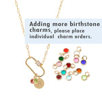 Personalized Initial & Birthstone Pave Carabiner Necklace
