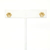 Gold Filled Dog Paw Bone Earrings