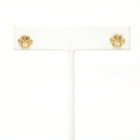 Gold Filled Dog Paw Bone Earrings