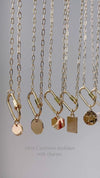 Carabiner Necklace with Charm