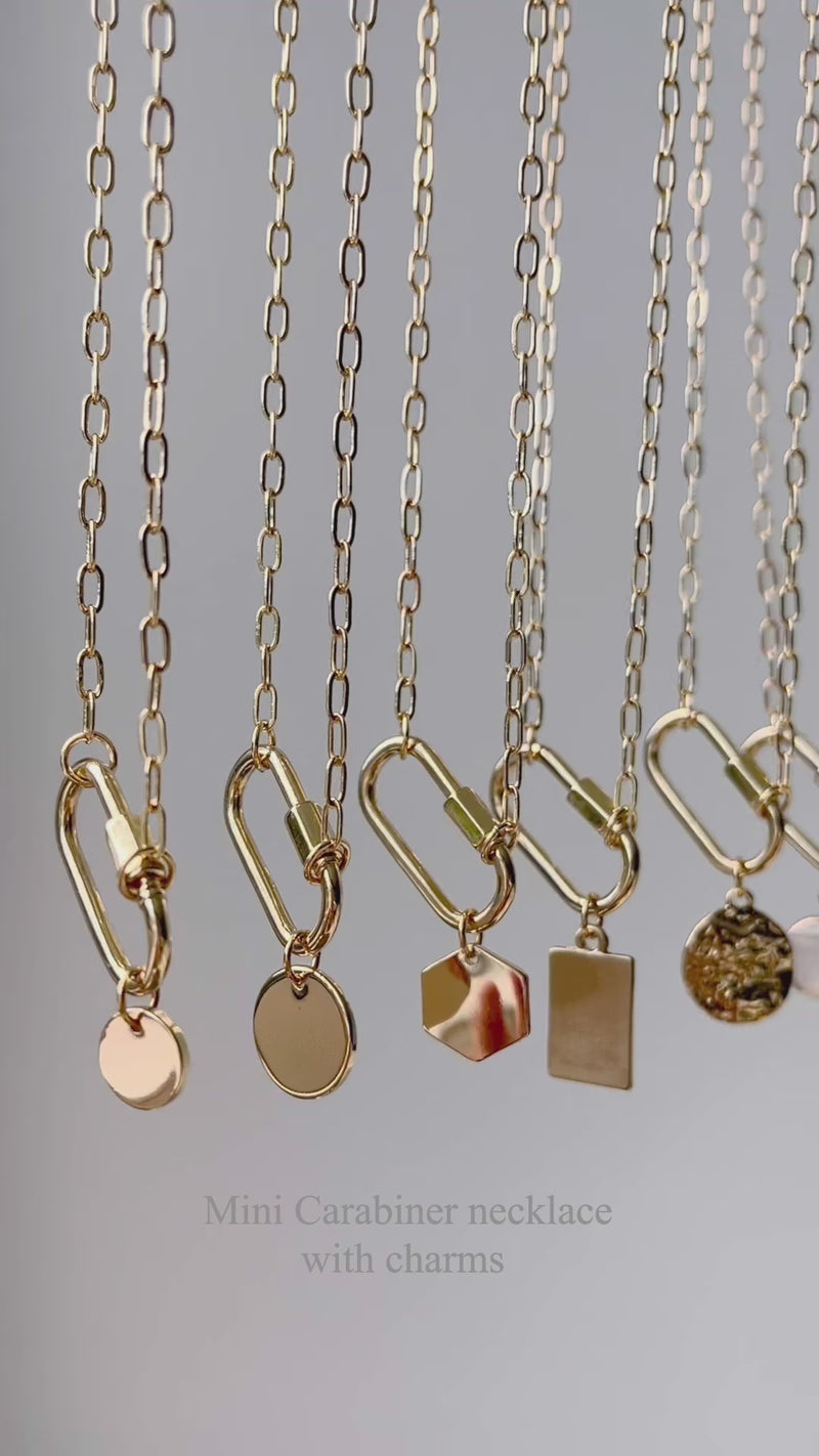 Carabiner Necklace with Charm